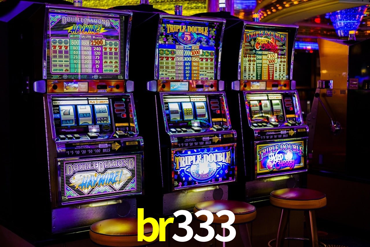 Programa VIP br333